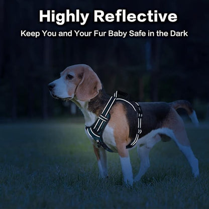 PoyPet No Pull Dog Harness, No Choke Front Clip Reflective Dog Vest with Soft Padded Vertical Handle, 3 Leash Attachments for Small Medium Large Dogs (Tumalo Teal,S) PoyPet