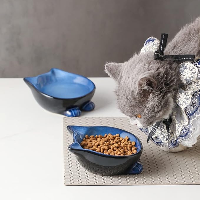 Nihow Ceramic Basic Cat Bowls: 5 Inch Cat Bowl for Food & Water - Food Grade Cat Dish for Small-Sized Cat - Microwave & Dishwasher Safe -Elegant Blue & Black (4.25 OZ /1 PC) - PAWPICO