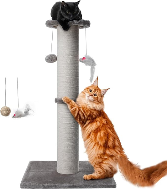 34 Inch Tall Cat Scratching Post for Multi Cat - Cat Scratching Post for Indoor Cats and Kitten with Velvet Large Diameter Scratching Post Top & 2 Hanging Ball Toy - PAWPICO