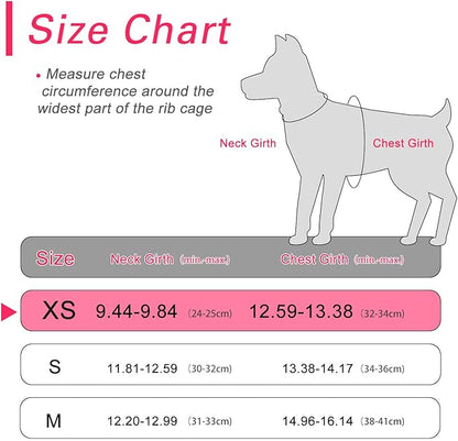 Dog Harness for Small Dogs, Small Dog Harness and Leash Set, Honeycomb Grid, Reflective Lightweight Harness & Anti-Twist Pet Lead,Dog Harness(Multi Color, Size: XS-S-M) (XS, Rose red) PAWPICO