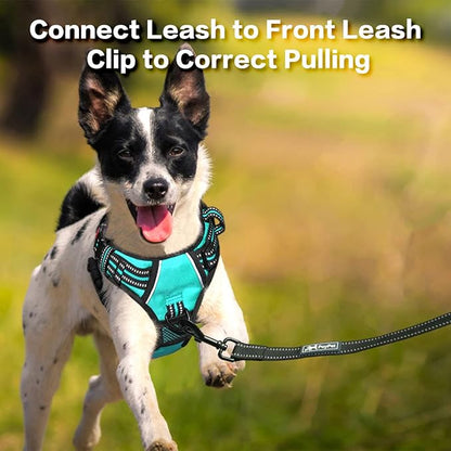 PoyPet No Pull Dog Harness, No Choke Front Clip Reflective Dog Vest with Soft Padded Vertical Handle, 3 Leash Attachments for Small Medium Large Dogs (Mint Blue,M) PoyPet
