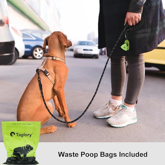 Taglory Rope Dog Leash 4 FT with Comfortable Padded Handle, Highly Reflective Threads Leash for Small Dogs, 3/8 inch, Black Taglory