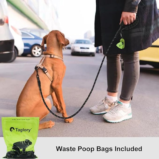 Taglory Rope Dog Leash 4 FT with Comfortable Padded Handle, Highly Reflective Threads Leash for Small Dogs, 3/8 inch, Black Taglory