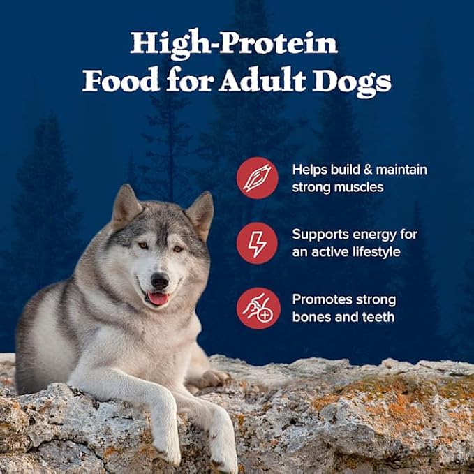 Blue Buffalo Wilderness High-Protein Rocky Mountain Recipe Dry Food for Adult Dogs, Red Meat & Grains, 13-lb. Bag - PAWPICO