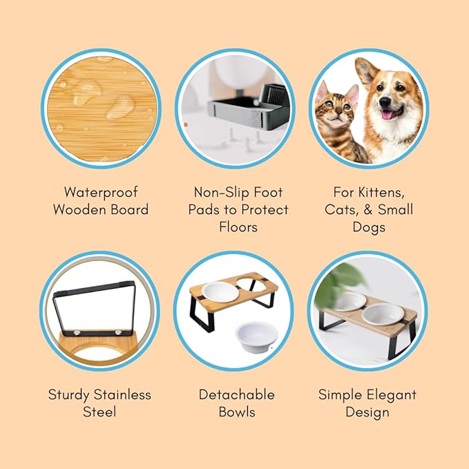Elevated Cat Ceramic Bowls Stand for Food and Water, Small Dog, Anti Vomit, Indoor Cats, Tilted Feeding Position, Full Bamboo Body Stand with Food Grade, Whisker Friendly Dish for Cats and Puppy - PAWPICO