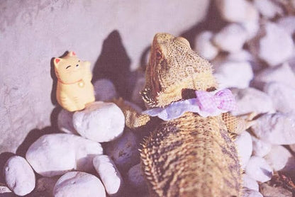 Lizard Bearded Dragons Stretchy Pink White Plaid Bowtie with Elastic Lace Decor Handmade Bowknot Collar Bandanas Costume Reptile Apparel Photo Gift Lizard Clothes Accessories for Bearded Dragon HAICHENTEC