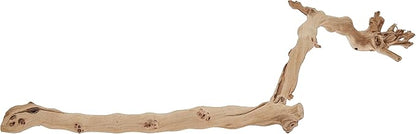 Exo Terra Forest Branch, Large ExoTerra