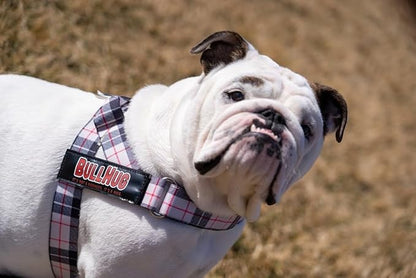 BULLHUG Harness – Made for Larger Chested Dogs Like English Bulldogs, French Bulldogs, Pugs & More. Stops Dogs from Pulling & Choking on Walks (BW Buffalo, Medium) BULLHUG