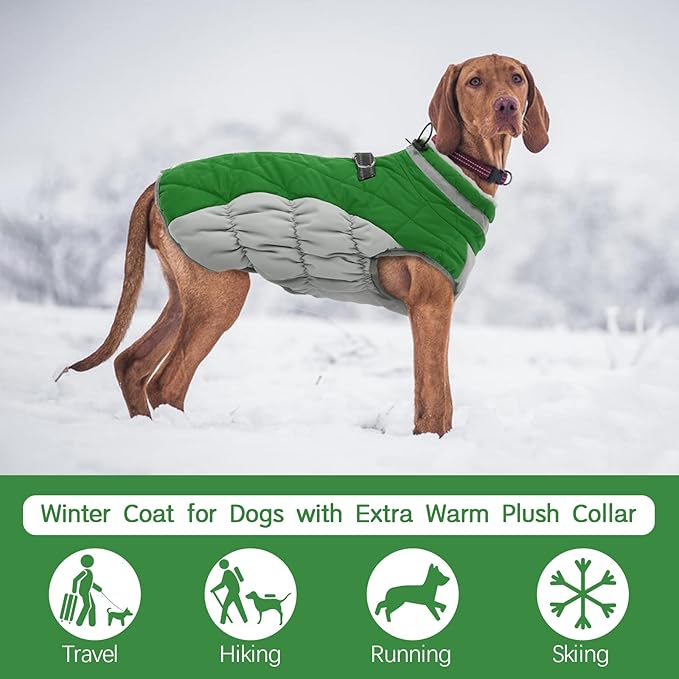 FUAMEY Dog Coat,Warm Dog Jacket Winter Coat Paded Dog Fleece Vest Reflective Dog Cold Weather Coats with Built in Harness Waterproof Windproof Dog Snow Jacket Clothes with Zipper Green Small - PAWPICO