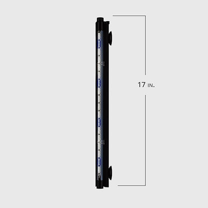 Marineland Hidden LED Strip Light for Aquariums, White and Blue LEDs Marineland