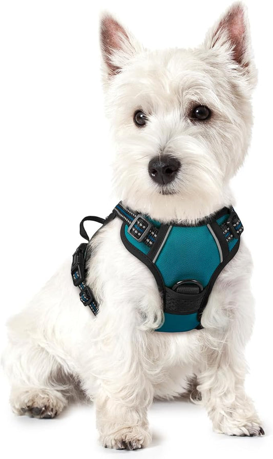 rabbitgoo Dog Harness No Pull with 2 Leash Clips, Adjustable Soft Padded, Reflective Oxford No Choke Pet Vest with Easy Control Handle for Puppy, Blue Coral, XS rabbitgoo