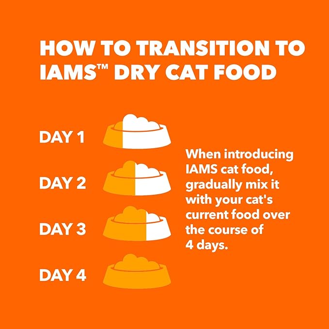 IAMS Proactive Health Healthy Adult Dry Cat Food with Chicken, 22 lb. Bag - PAWPICO