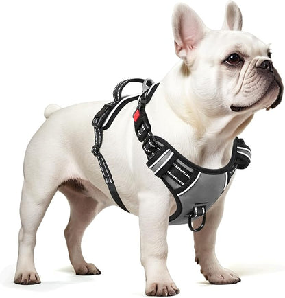 Timos Dog Harness Small Sized, No Pull Dog Harness with Neck Lockable Snap,No Choke Front Clip Dog Reflective Harness,Adjustable Metal Rings 3 Buckles,Easy Control Handle for Small Dogs Gray XS Timos