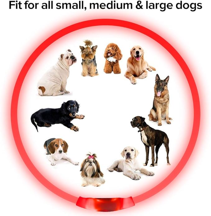 Led Dog Collar, BSEEN USB Rechargeable Flash Dog Necklace Light, Pet Safety Collar Makes Your Beloved Dogs Be Seen at Night for Small Medium Large Dogs(Red) BSEEN