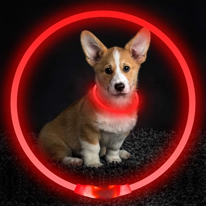 Led Dog Collar, BSEEN USB Rechargeable Flash Dog Necklace Light, Pet Safety Collar Makes Your Beloved Dogs Be Seen at Night for Small Medium Large Dogs(Red) - PAWPICO