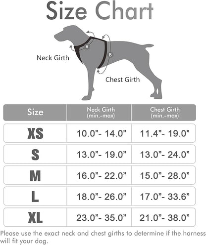 rabbitgoo Dog Harness, No-Pull Pet Harness with 2 Leash Clips, Adjustable Soft Padded Dog Vest, Reflective No-Choke Pet Oxford Vest with Easy Control Handle for Large Dogs, Grey, XL - PAWPICO