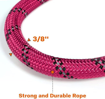 Taglory Rope Dog Leash 6 FT with Comfortable Padded Handle, Highly Reflective Threads Leash for Small Dogs, 3/8 inch, Hotpink Taglory