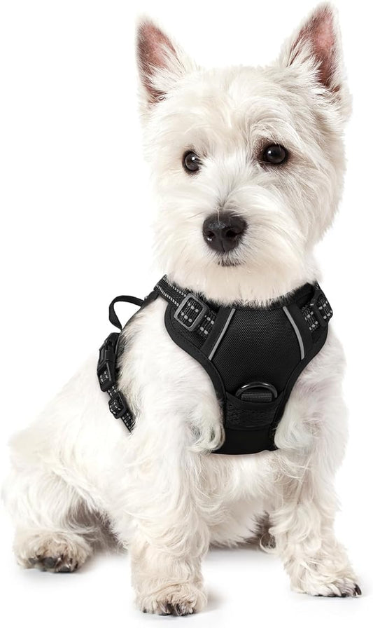 rabbitgoo Dog Harness No Pull with 2 Leash Clips, Adjustable Soft Padded, Reflective Oxford No Choke Pet Vest with Easy Control Handle for Puppy, Black, XS rabbitgoo