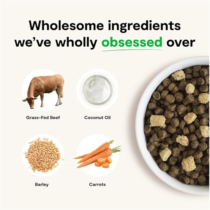 Open Farm RawMix Ancient Grains Front Range Recipe for Dogs, Includes Kibble, Bone Broth, and Freeze Dried Raw, Inspired by The Wild, Humanely Raised Protein and Non-GMO Fruits and Veggies, 20 lb - PAWPICO