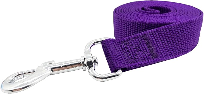 Nylon Dog Training Leash, Traction Rope, 4Ft /5 Foot /6 Feet Long, 5/8 inch 3/4 Inch 1 Inch Wide, for Small and Medium Dogs (1'' x 8 FT, Purple) - PAWPICO
