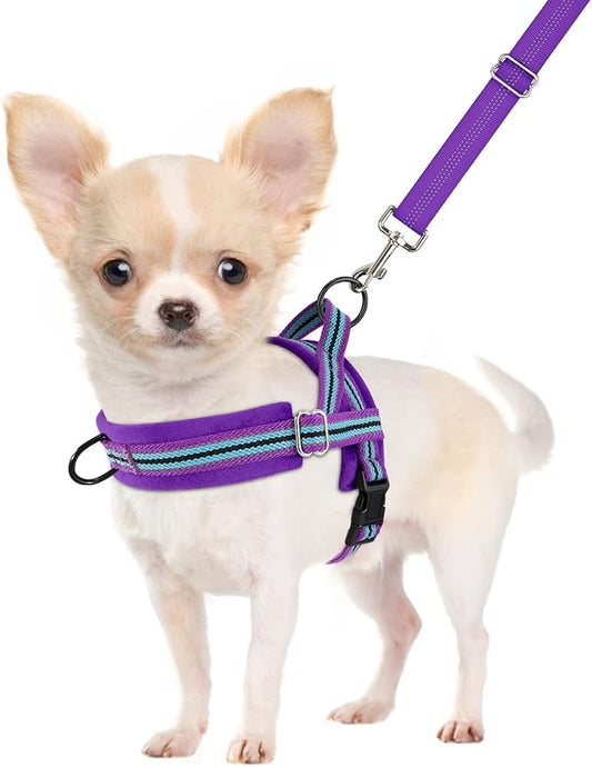 SlowTon No Pull Small Dog Harness and Leash Set, Puppy Soft Vest Harness Neck & Chest Adjustable, Reflective Lightweight Harness & Anti-Twist Pet Lead Combo for Small Medium Dogs (PU-Front Clip, XXS) SlowTon