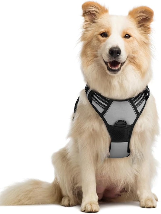 rabbitgoo Dog Harness No Pull with 2 Leash Clips, Adjustable Soft Padded, Reflective Oxford No Choke Pet Vest with Easy Control Handle for Medium Sized Dogs, Grey, M rabbitgoo