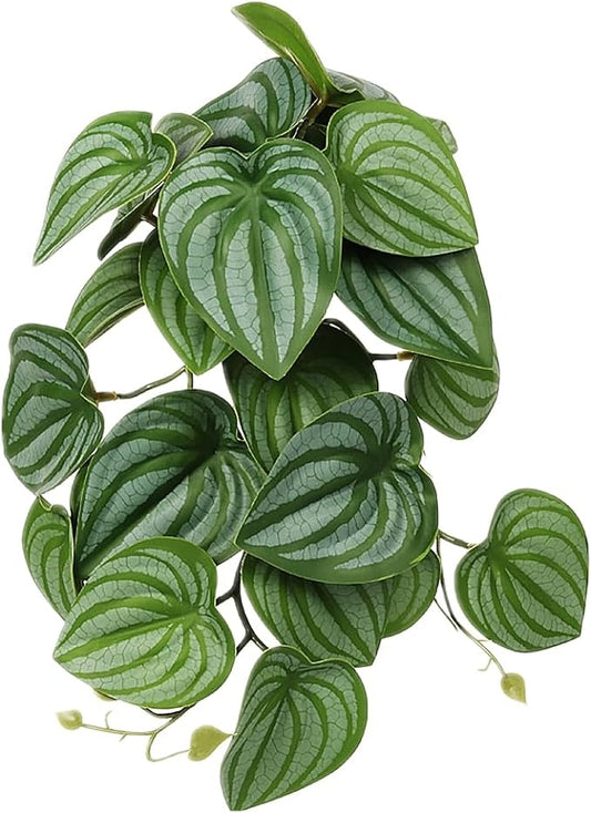 Reptile Plants for Terrarium, Amphibian Habitat Decor Artificial Hanging Plants with Suction Cup - Fake Calathea Orbifolia WOLEDOE