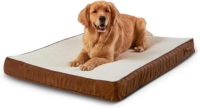 Happy Hounds Oscar Rectangle Orthopedic Foam Sherpa Dog Bed, Large (48 x 36 in.), Mocha - PAWPICO