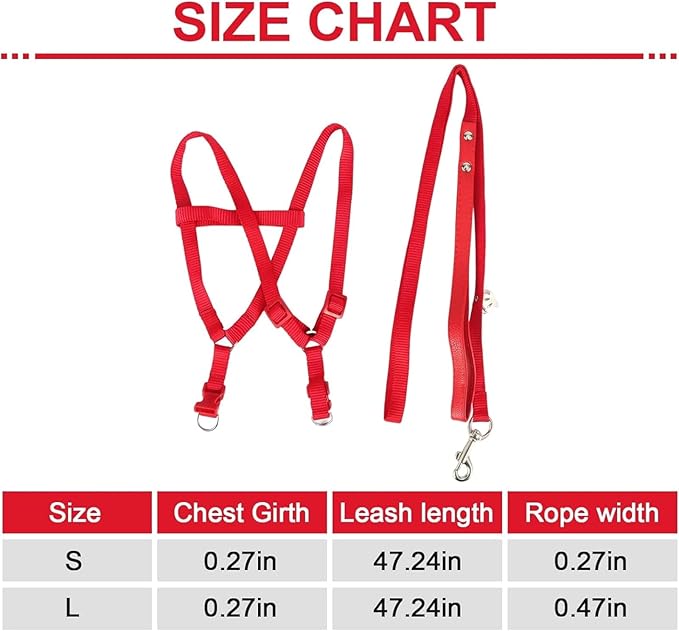 Pet Parrot Bird Harness and Leash, Adjustable Parrot Traction Harness Leash, Outdoor Flying Training Rope Anti Bite Training Rope for Parrot Macaw Cockatoos Yunnyp