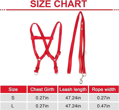 Pet Parrot Bird Harness and Leash, Adjustable Parrot Traction Harness Leash, Outdoor Flying Training Rope Anti Bite Training Rope for Parrot Macaw Cockatoos Yunnyp