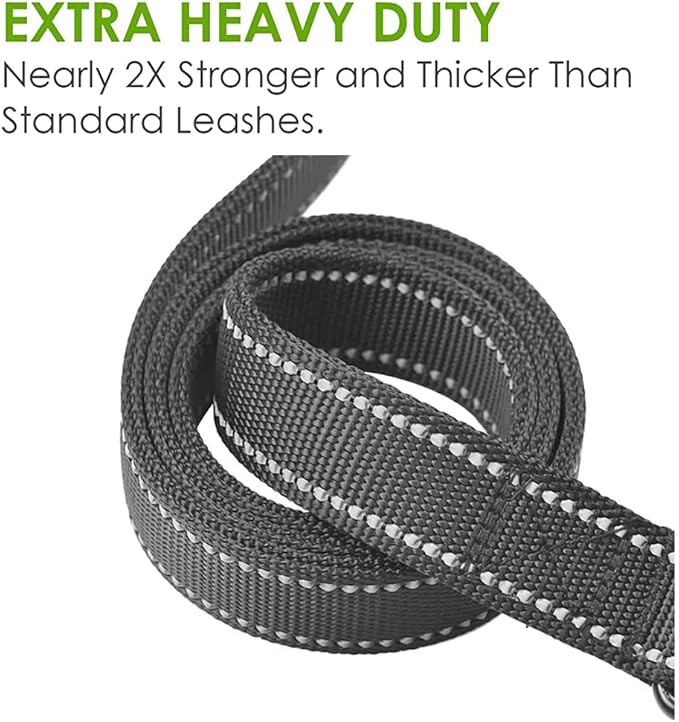 Heavy Duty Dog Leash - 2 Handles by Padded Traffic Handle for Extra Control, 6foot Long - Perfect for Medium to Large Dogs (6 ft, Bright Green) JEWOSTER