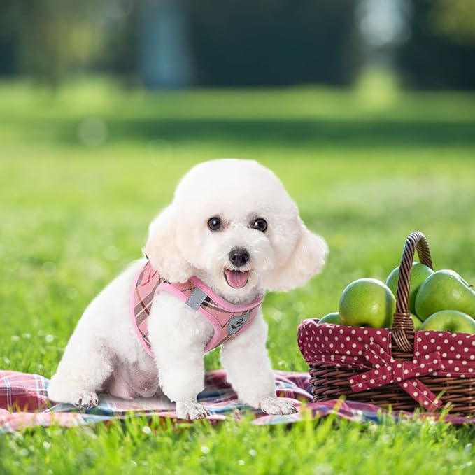 EXPAWLORER Classic Plaid Puppy Harness - Small Dog Harness and Leash Set - Dog Collar and Leash Set with AirTag Holder, Soft Padded Step in Dog Vest Harness No Pull Reflective for Outdoor, Pink XS EXPAWLORER