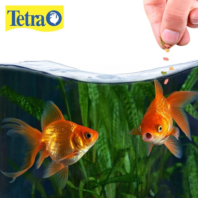 Tetra Goldfish Flakes, Nutritionally Balanced Diet For Aquarium Fish, Vitamin C Enriched Flakes, 1 oz Tetra