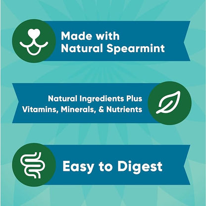 GREENIES ANYTIME BITES Dog Treats, Mint Flavor, 24 oz. bag - PAWPICO