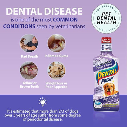 Dental Fresh Advanced Plaque and Tartar Water Additive, 32oz – Dog Teeth Cleaning Formula to Freshen Breath and Improve Overall Oral Health DentalFresh