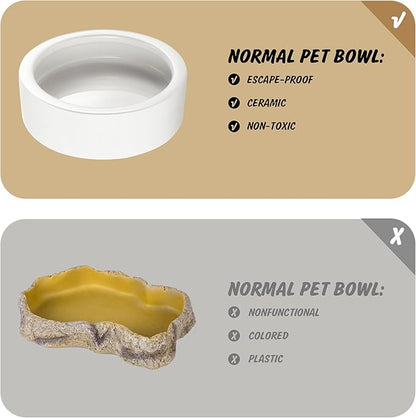 Reptile Food Dish Bowl, Worm Water Dish Small (2.75in) Lizard Gecko Ceramic Pet Bowl, Mealworms Bowls for Leopard Bearded Dragon Chameleon Hermit Crab Dubia Cricket Anti-Escape Superworm Feeder 2 Pack HELIME