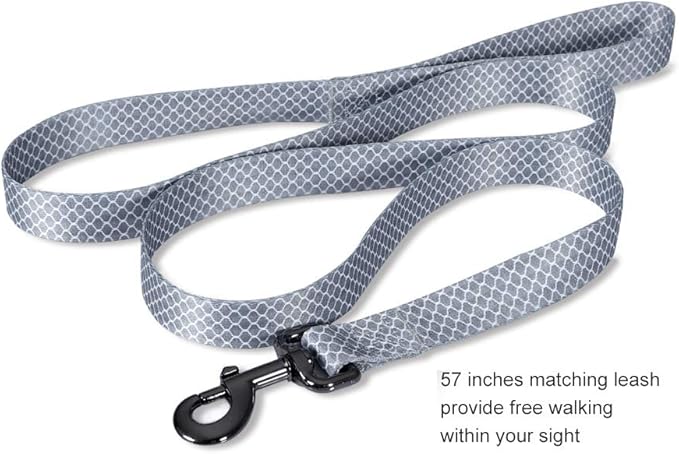 Ihoming Dog Collar and Leash Set for Daily Outdoor Walking Running Training, Moroccan Grey Design for Large Boys Girls Dogs Cats Pets, L-Up to 80LBS Ihoming
