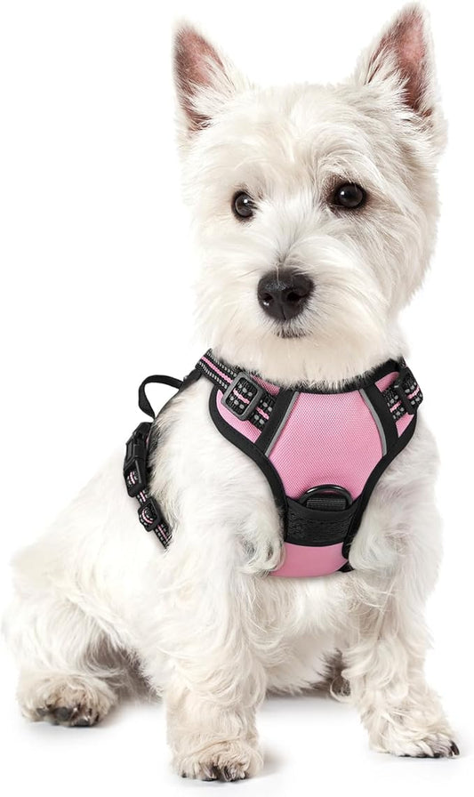 rabbitgoo Dog Harness No Pull with 2 Leash Clips, Adjustable Soft Padded, Reflective Oxford No Choke Pet Vest with Easy Control Handle for Puppy, Pink, XS rabbitgoo