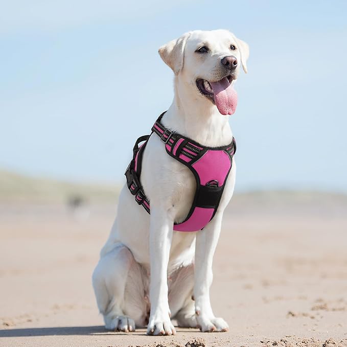 Eagloo Dog Harness for Large Dogs, No Pull Service Vest with Reflective Strips and Control Handle, Adjustable and Comfortable for Easy Walking, No Choke Pet Harness with 2 Metal Rings, Rose Red, L GoExplorewithEagloo