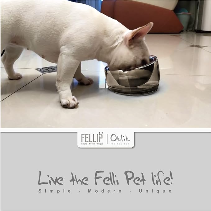 Felli Pet Oblik Spill Proof Dog Food Water Bowl Raised Acrylic Cone, Stainless Steel Tilted Oval Dish Pet Friendly, Slanted Metal Plate Feeder Elevated for Small Medium Size Dog (1.5Cup, Smoky) - PAWPICO