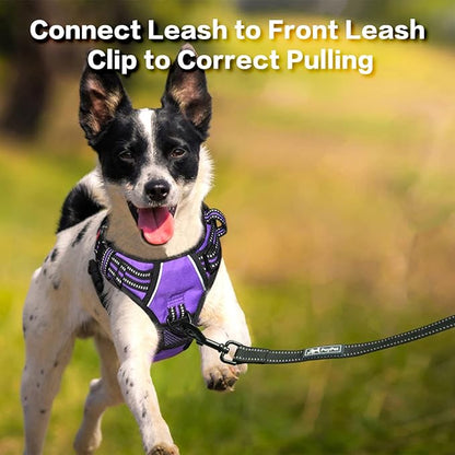PoyPet No Pull Dog Harness, No Choke Front Clip Reflective Dog Vest with Soft Padded Vertical Handle, 3 Leash Attachments for Small Medium Large Dogs (Purple,S) PoyPet