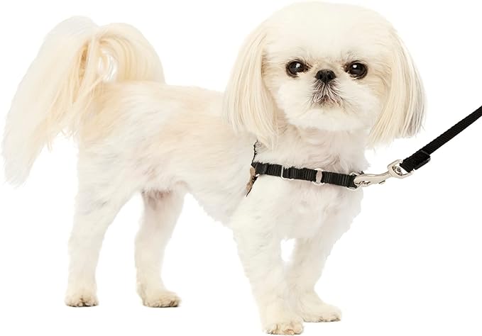 PetSafe Easy Walk No-Pull Dog Harness - The Ultimate Harness to Help Stop Pulling - Take Control & Teach Better Leash Manners - Helps Prevent Pets Pulling on Walks, Petite, Black/Silver PetSafe
