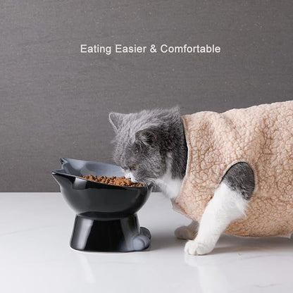 Nihow Elevated Cat/Dog Bowls Set : 6.2 Inch Ceramic Raised Cat Food & Water Bowl Set for Protecting Pet's Spine - Feeding & Watering Supplies for Cat/Small Size Dog - Elegant Gray(2PC) - PAWPICO