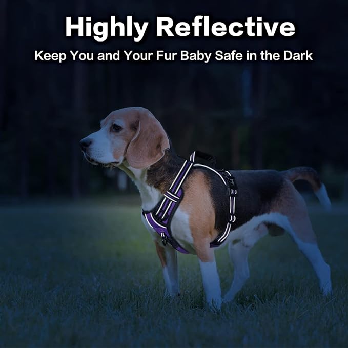 PoyPet No Pull Dog Harness, No Choke Front Clip Reflective Dog Vest with Soft Padded Vertical Handle, 3 Leash Attachments for Small Medium Large Dogs (Purple,L) PoyPet