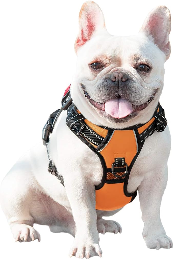 PHOEPET No Pull Dog Harnesses for Small Dogs Reflective Adjustable Front Clip Vest with Handle 2 Metal Rings 3 Buckles [Easy to Put on & Take Off] (XS, Orange) PHOEPET