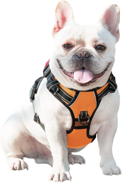 PHOEPET No Pull Dog Harnesses for Small Dogs Reflective Adjustable Front Clip Vest with Handle 2 Metal Rings 3 Buckles [Easy to Put on & Take Off] (XS, Orange) PHOEPET
