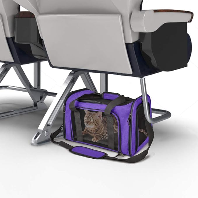 Henkelion Pet Carrier for Small Medium Cats Dogs Puppies up to 15 Lbs, Airline Approved Small Dog Carrier Soft Sided, Collapsible Travel Puppy Carrier - Purple - PAWPICO