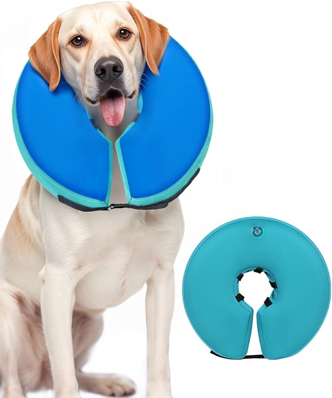Dog Cone Collar for Small Medium Large Dogs for After Surgery, Pet Inflatable Neck Donut Collar Soft Protective Recovery Cone for Dogs and Cats-Alternative E Collar Does Not Block Vision-GreenBlue,XL MIDOG
