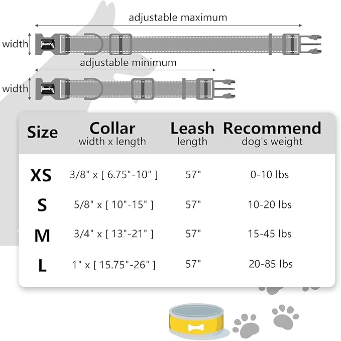 Ihoming Puppy Collar and Leash Set for Daily Outdoor Walking Running Training, Floral GreenLake Design for Extra Small Boys Girls Dogs Cats Pets, XS-Up to 10LBS Ihoming