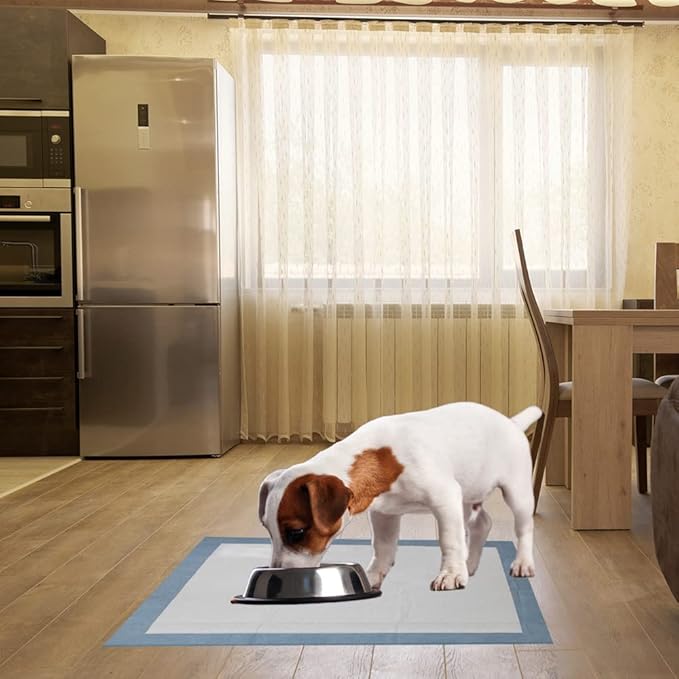 BV XL Puppy Pads X-Large Leak-Proof 28"x34" [20CT] | Pee Pads for Dogs Ultra Absorbent 6-Layer - Dog Pee Pads Extra Large - Dog Pads XL - Potty Pads for Dogs, Training Pads for Dogs, Dog Pad - PAWPICO